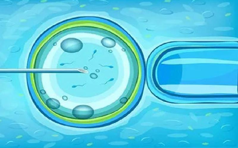 北京试管全包代生